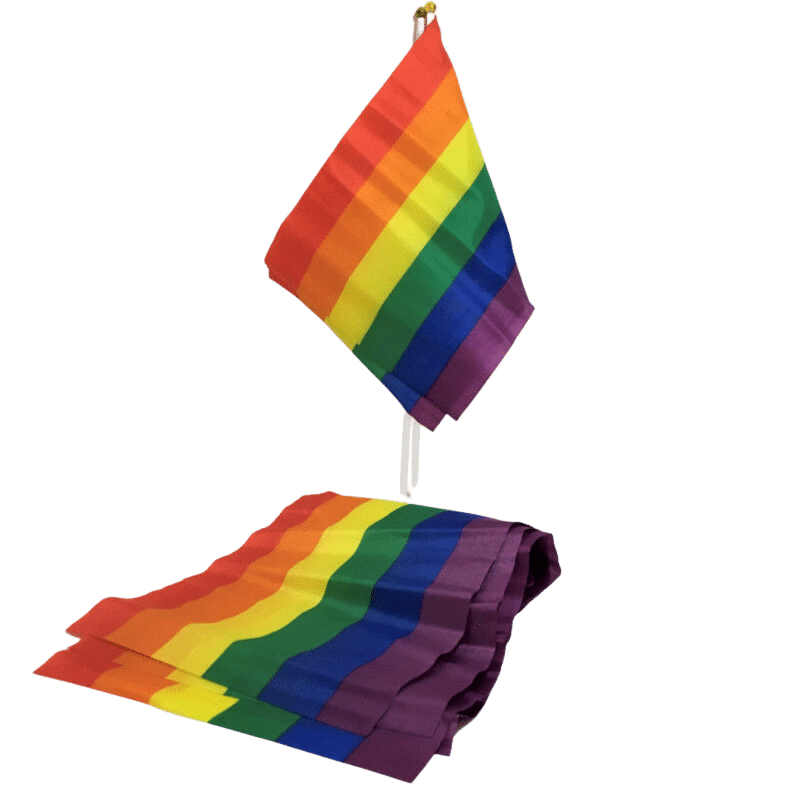 PRIDE - LGBT FLAG SMALL FLAG BANNER